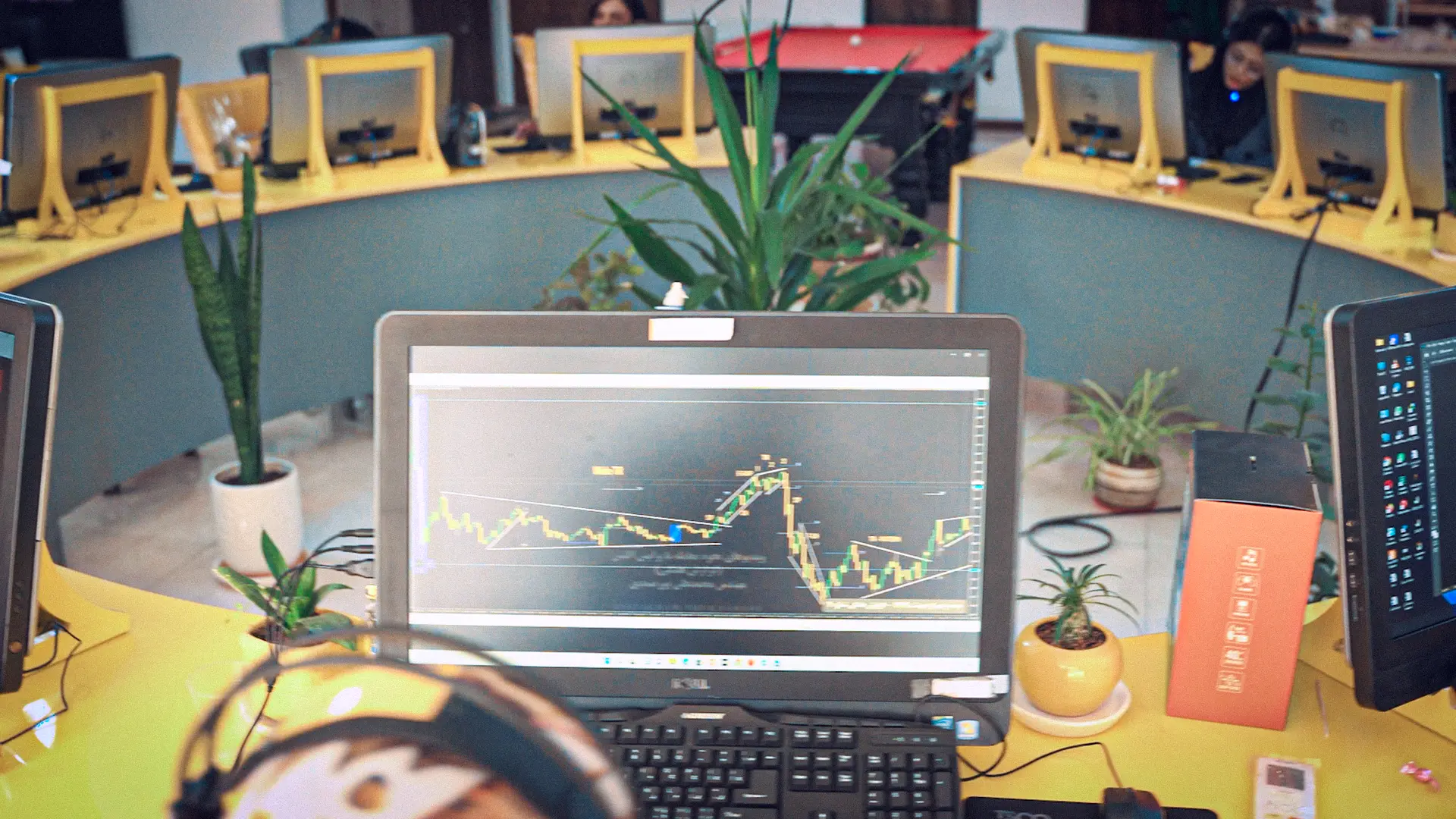 نظر زدبورسی‌ها 