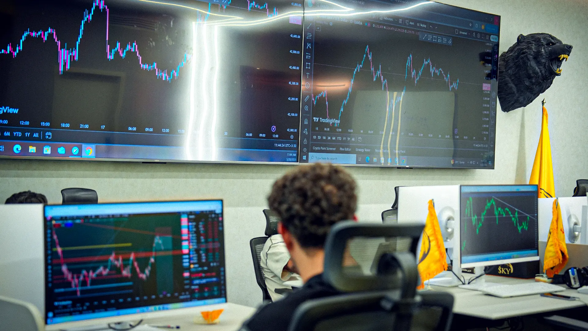 نظر زدبورسی‌ها 